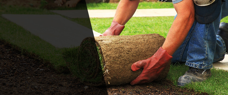 Hazelwood Landscapers